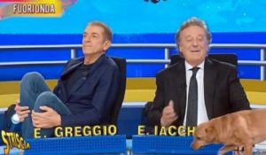 Ezio Greggio battura contro Barbara d'Urso