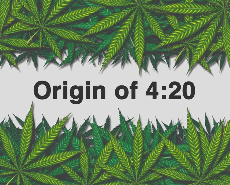 420, l’origine del numero dietro la cultura della cannabis 420, l’origine del numero dietro la cultura della cannabis