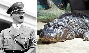 Saturno, l’alligatore di Hitler, si è spento ad 84 anni