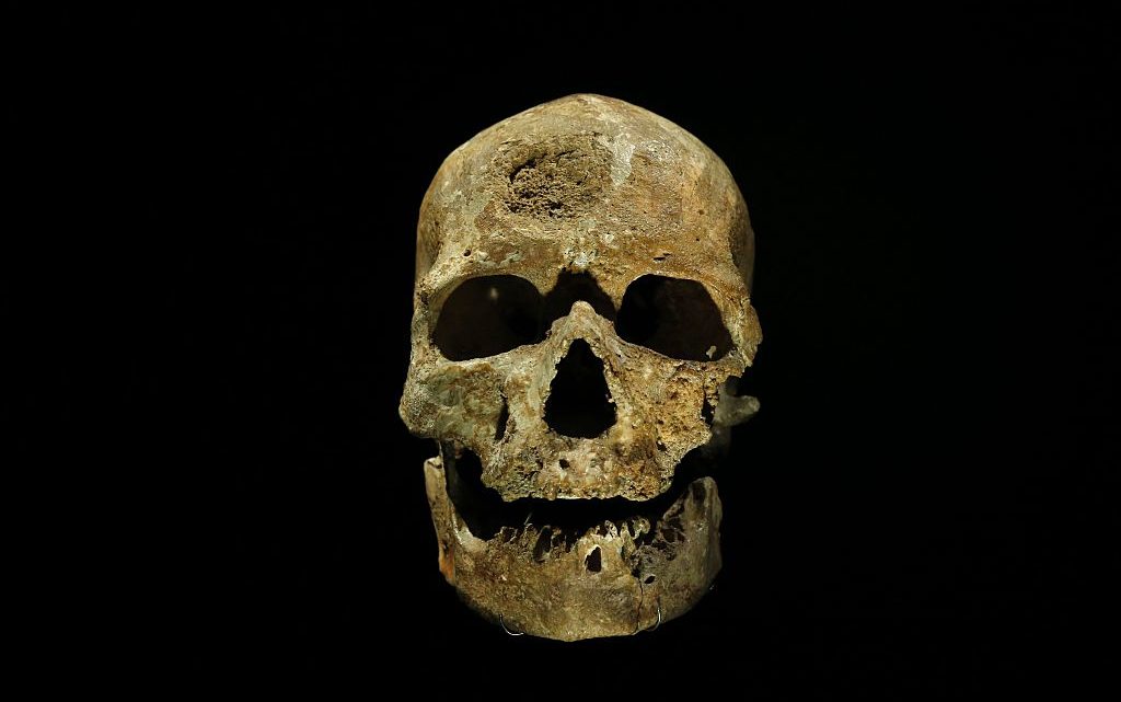 Homo sapiens “europeo” scoperto in Bulgaria: risale a 45.000 anni fa Homo sapiens “europeo” scoperto in Bulgaria: risale a 45.000 anni fa