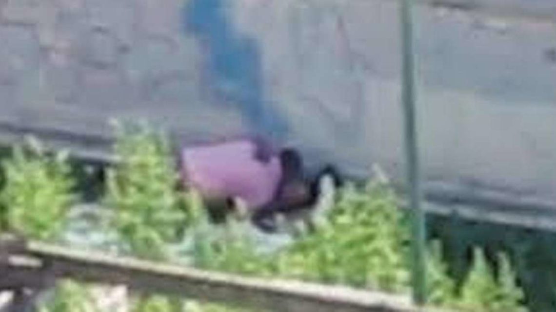 Coppietta dà sfogo ai propri bollenti spiriti nei giardinetti pubblici: la polizia li becca in flagrante