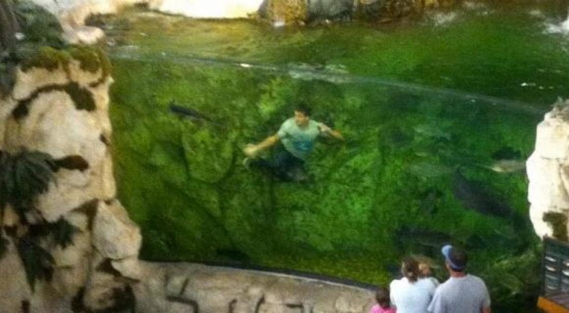 Si tuffa nell’acquario del negozio con vestiti e scarpe. Provano a fermarlo, ma fugge via