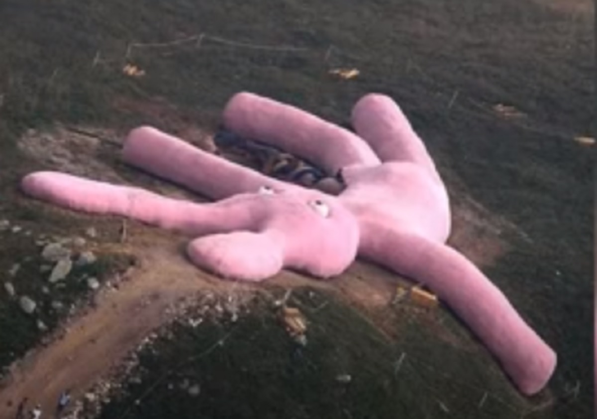coniglio rosa gigante