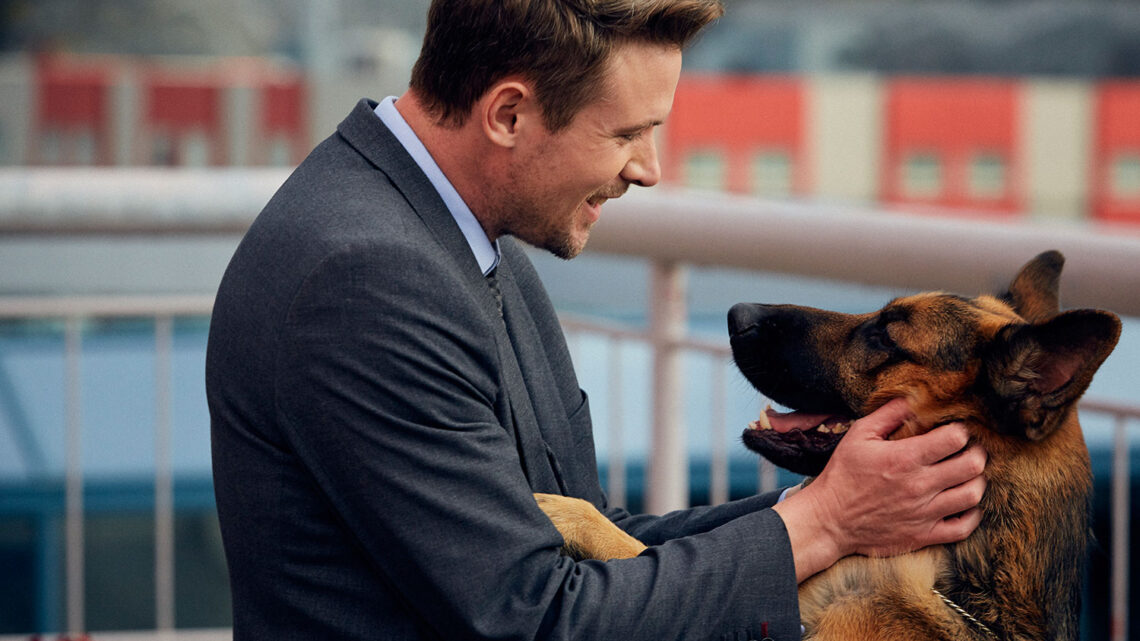 Hudson & Rex, ritorna il cane poliziotto più amato su Rai 3 Hudson & Rex, ritorna il cane poliziotto più amato su Rai 3