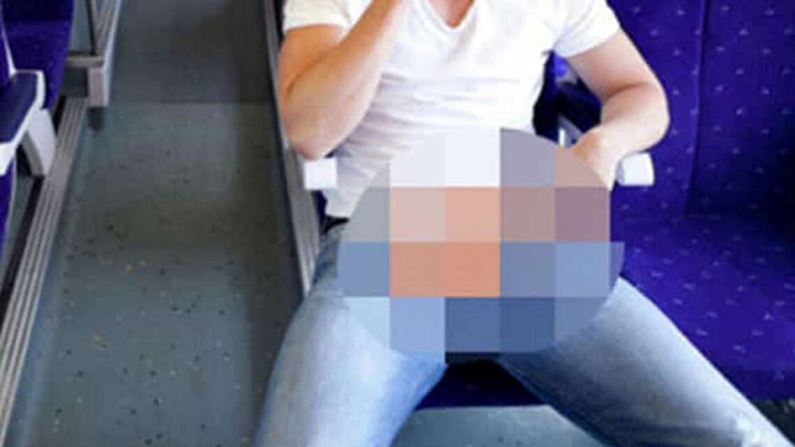 Autoerotismo sul treno davanti ad una donna ed una bambina, bloccato un 33enne Autoerotismo sul treno davanti ad una donna ed una bambina, bloccato un 33enne