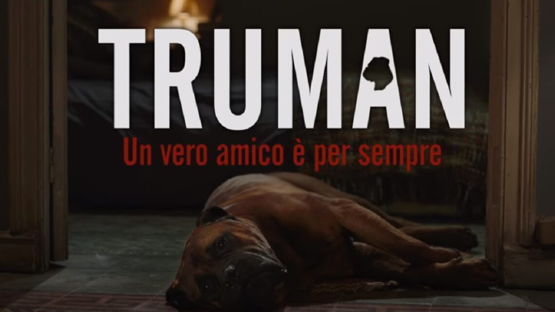 Truman – Un vero amico è per sempre: trama e curiosità del film dedicato ad una amicizia uomo – cane Truman – Un vero amico è per sempre: trama e curiosità del film dedicato ad una amicizia uomo – cane