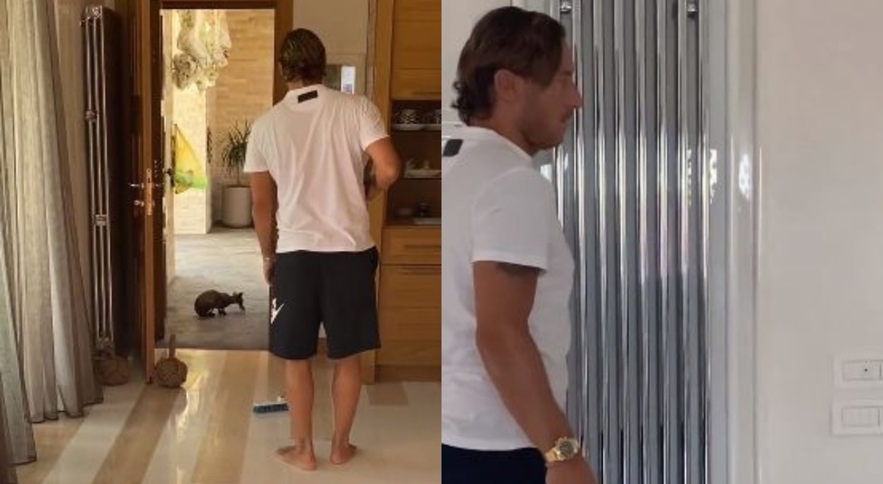 Totti e Ilary Blasi e la caccia al topo in casa: la scena trash diverte Twitter