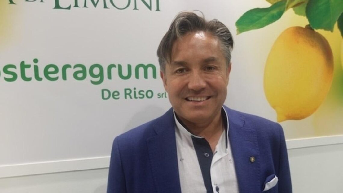 Chi è Carlo De Riso, amministratore di Costieragrumi e protagonista della seconda puntata di Boss in incognito? Chi è Carlo De Riso, amministratore di Costieragrumi e protagonista della seconda puntata di Boss in incognito?