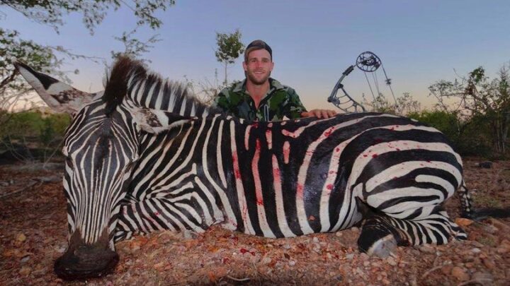“Il Re Leone” non piace al 27enne che ama uccidere le zebre: “Mette in cattiva luce i cacciatori”