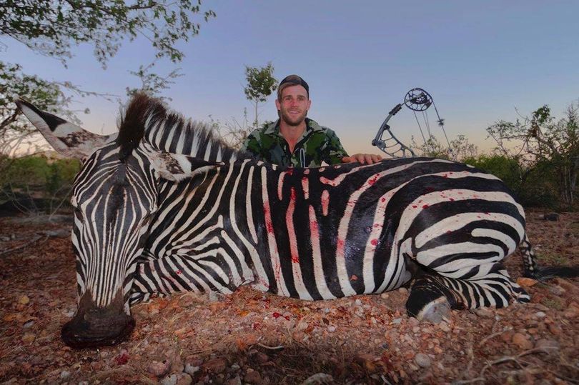 “Il Re Leone” non piace al 27enne che ama uccidere le zebre: “Mette in cattiva luce i cacciatori”