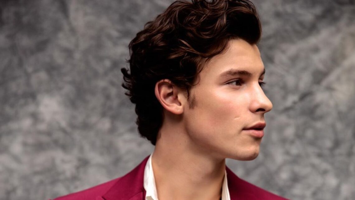 Shawn Mendez sta pensando a un nuovo singolo? L’indiscrezione viaggia sui social Shawn Mendez sta pensando a un nuovo singolo? L’indiscrezione viaggia sui social