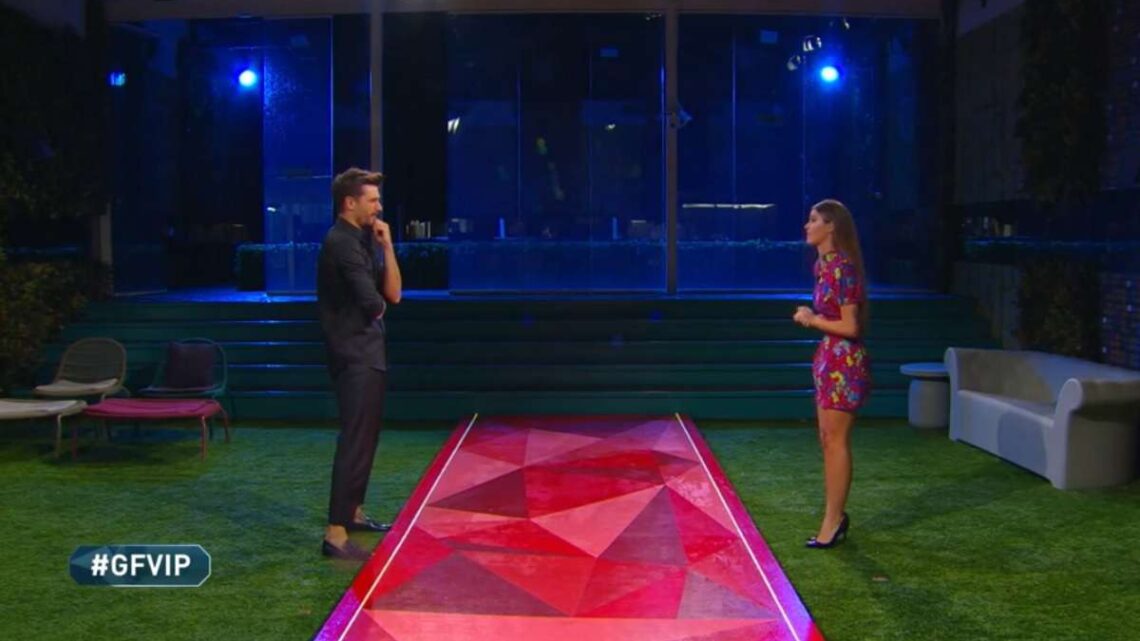 Andrea Zelletta rivede Natalia al Grande Fratello Vip: il loro incontro emoziona Andrea Zelletta rivede Natalia al Grande Fratello Vip: il loro incontro emoziona