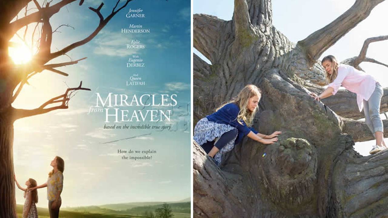 Miracoli dal cielo: trama, curiosità e la storia vera dietro il film del 2016