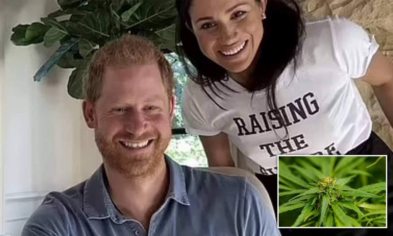 harry meghan cannabis fabbrica odore