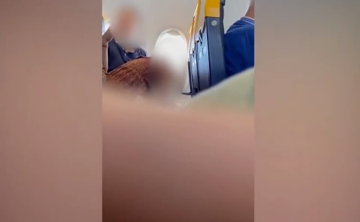 Ryanair, video sesso orale in alta quota: coppia multata