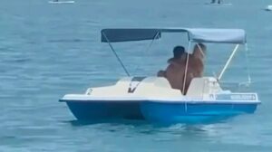 Lo fanno in pieno giorno su un pedalò: le immagini sono virali (ma il video non c’è) Lo fanno in pieno giorno su un pedalò: le immagini sono virali (ma il video non c’è)