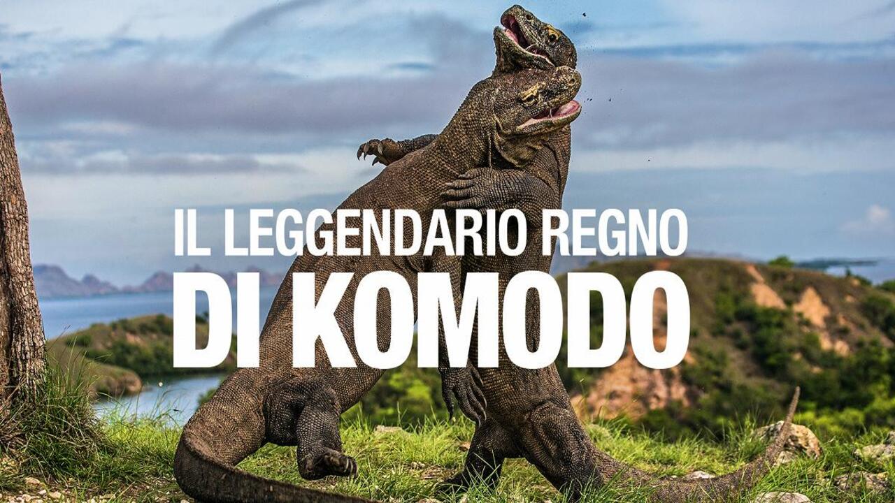 Il leggendario regno di Komodo | Tutto sul documentario di Rai 5