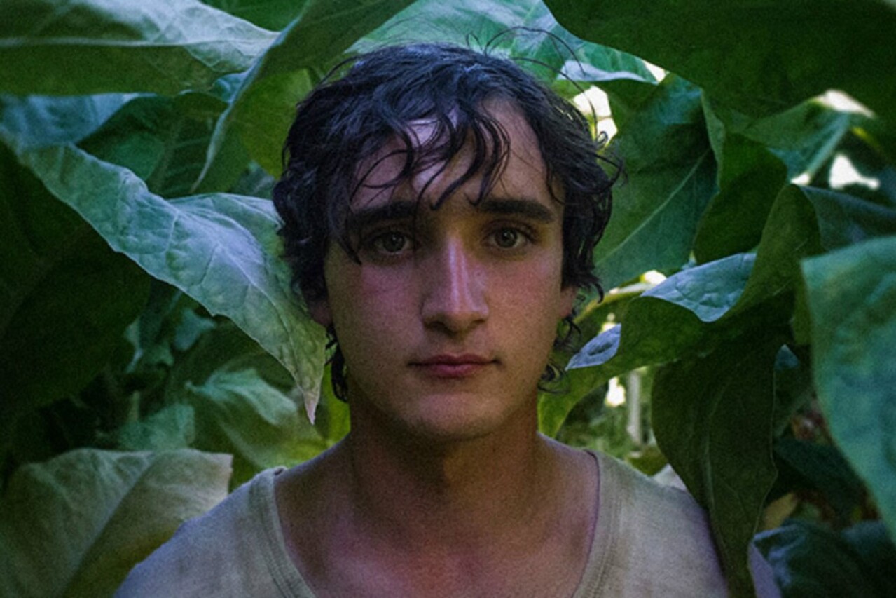 Lazzaro felice | Curiosità sul film in onda in prima serata su Rai 5